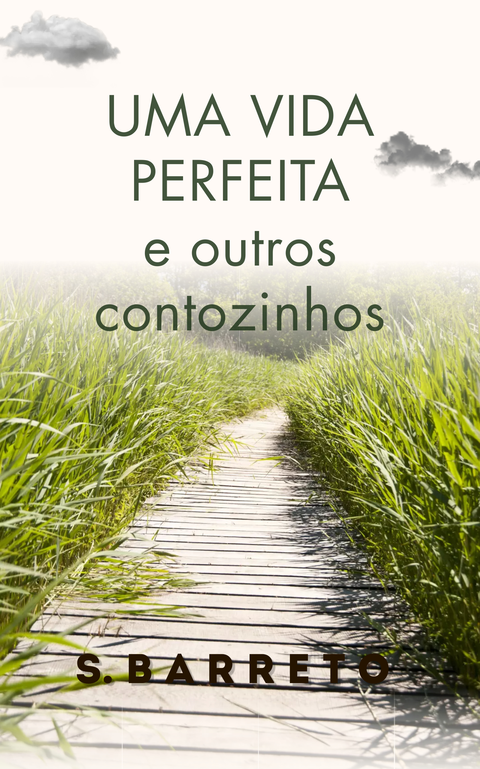 Uma vida perfeita e outros contozinhos